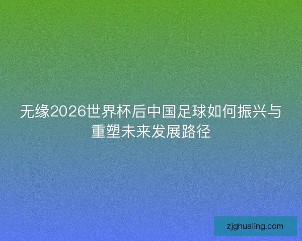 无缘2026世界杯后中国足球如何振兴与重塑未来发展路径