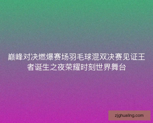 巅峰对决燃爆赛场羽毛球混双决赛见证王者诞生之夜荣耀时刻世界舞台