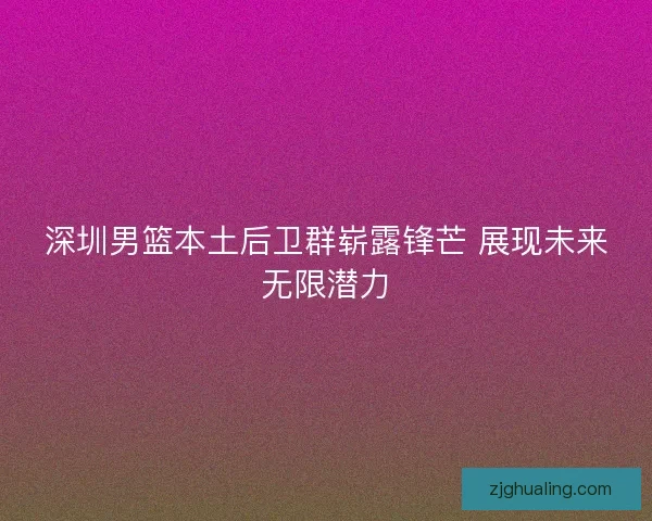 深圳男篮本土后卫群崭露锋芒 展现未来无限潜力